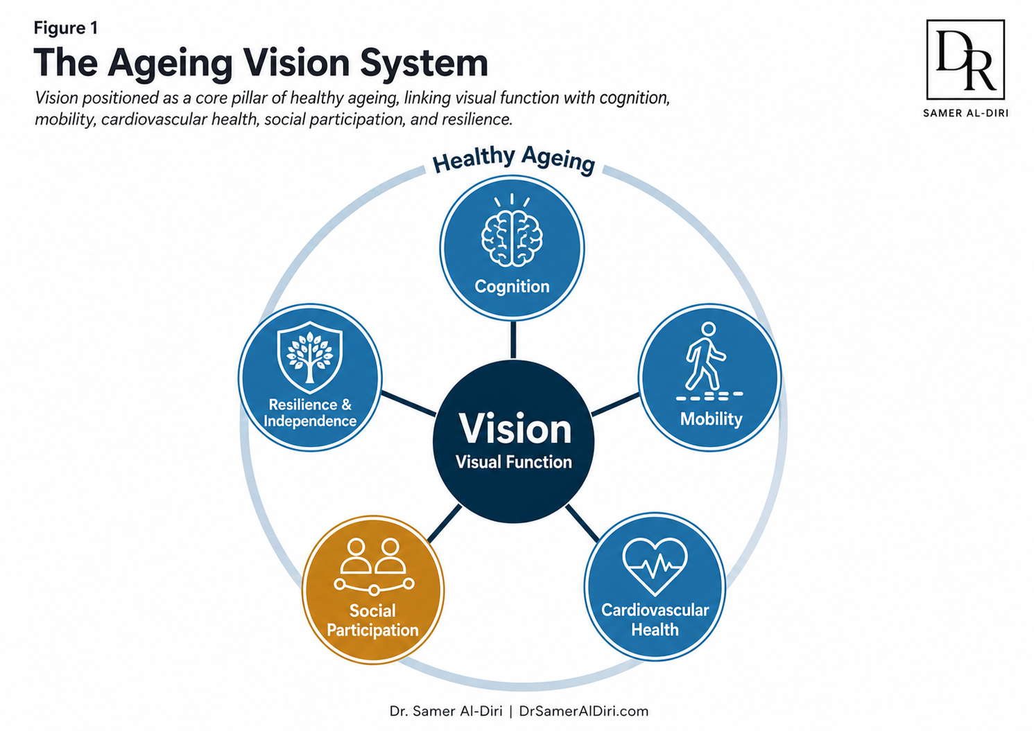 Figure 1: The Ageing Vision System, showing vision as a core pillar of healthy ageing linked with cognition, mobility, cardiovascular health, social participation, resilience, and independence.