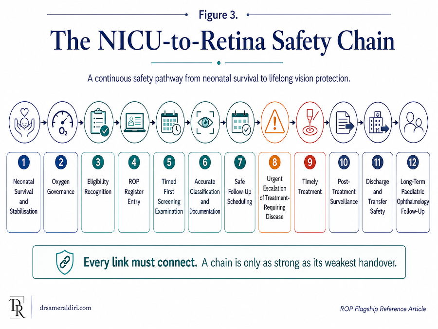 Figure 3: NICU-to-Retina Safety Chain linking eligibility, registration, screening, diagnosis, treatment, follow-up and long-term vision care.