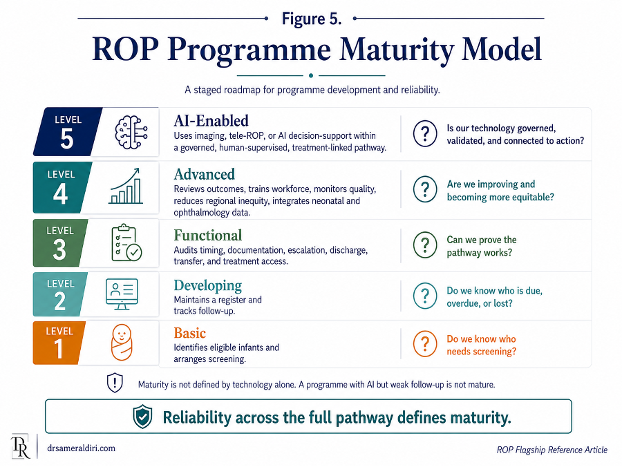 Figure 5: ROP programme maturity model progressing from basic to developing, functional, advanced and AI-enabled systems.