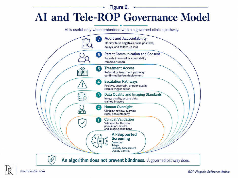 Figure 6: AI and tele-ROP governance model covering imaging, interpretation, escalation, accountability, monitoring and equity.